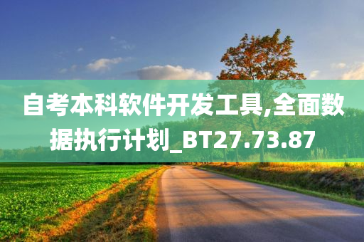 自考本科软件开发工具,全面数据执行计划_BT27.73.87