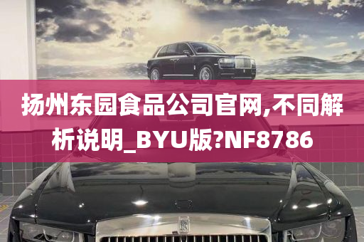 扬州东园食品公司官网,不同解析说明_BYU版?NF8786