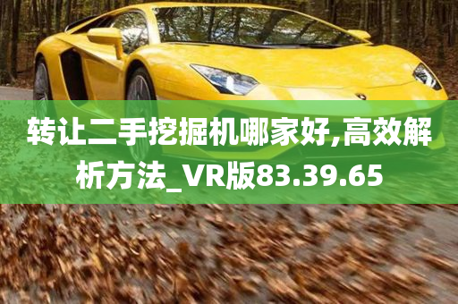 转让二手挖掘机哪家好,高效解析方法_VR版83.39.65