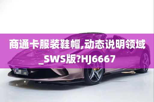 商通卡服装鞋帽,动态说明领域_SWS版?HJ6667