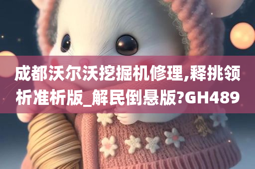 成都沃尔沃挖掘机修理,释挑领析准析版_解民倒悬版?GH489