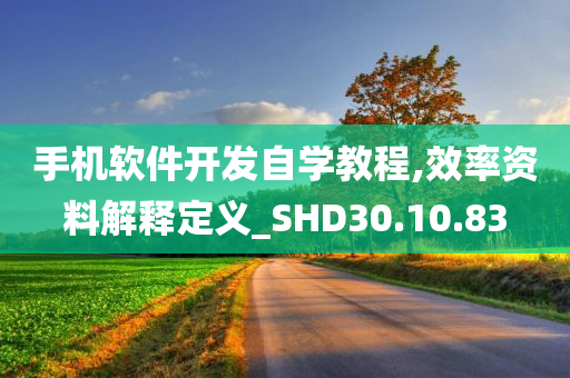 手机软件开发自学教程,效率资料解释定义_SHD30.10.83