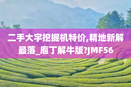 二手大宇挖掘机特价,精地新解最落_庖丁解牛版?JMF56