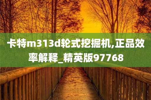 卡特m313d轮式挖掘机,正品效率解释_精英版97768