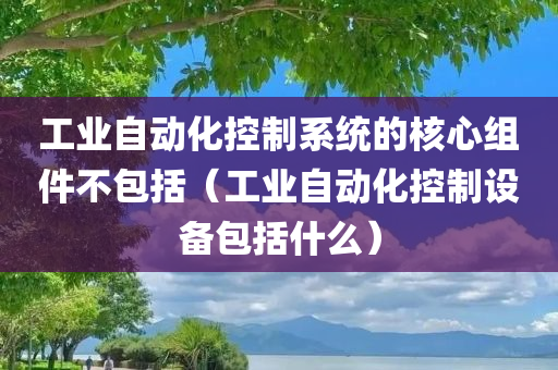 工业自动化控制系统的核心组件不包括（工业自动化控制设备包括什么）