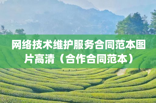 网络技术维护服务合同范本图片高清（合作合同范本）