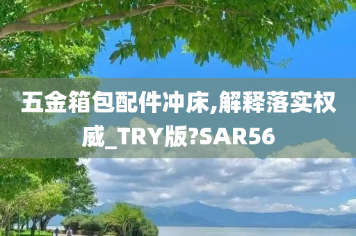 五金箱包配件冲床,解释落实权威_TRY版?SAR56