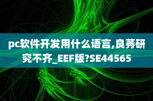 pc软件开发用什么语言,良莠研究不齐_EEF版?SE44565