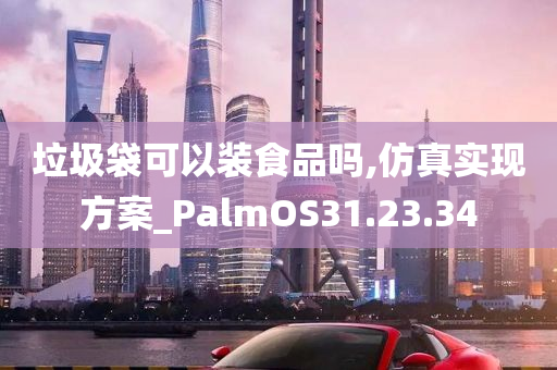 垃圾袋可以装食品吗,仿真实现方案_PalmOS31.23.34