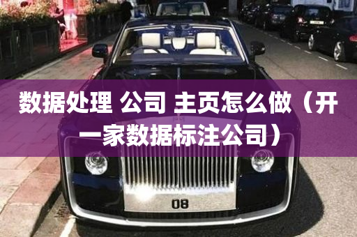 数据处理 公司 主页怎么做（开一家数据标注公司）