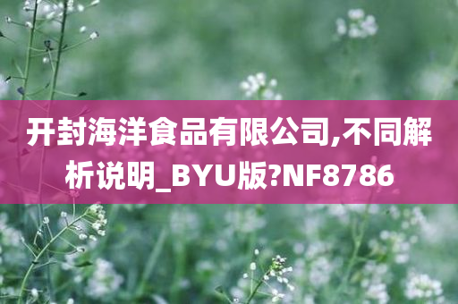 开封海洋食品有限公司,不同解析说明_BYU版?NF8786