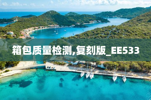 箱包质量检测,复刻版_EE533