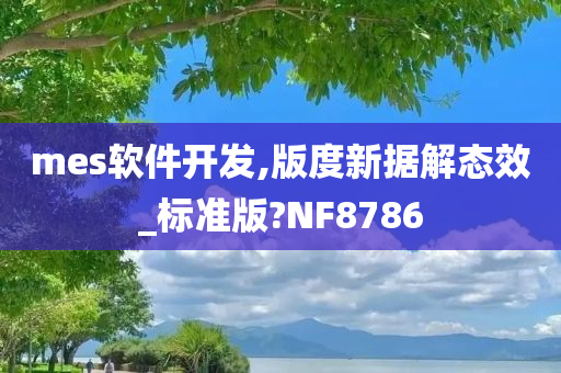 mes软件开发,版度新据解态效_标准版?NF8786