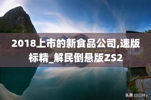 2018上市的新食品公司,速版标精_解民倒悬版ZS2