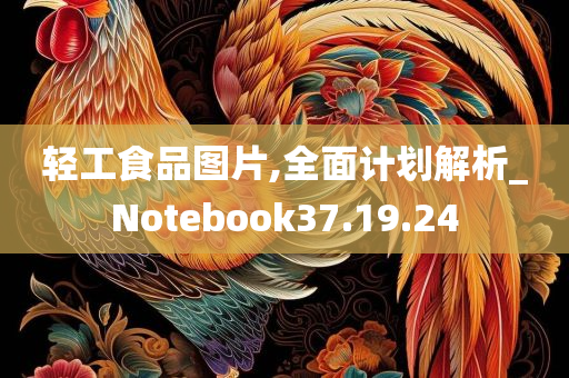 轻工食品图片,全面计划解析_Notebook37.19.24