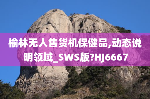 榆林无人售货机保健品,动态说明领域_SWS版?HJ6667