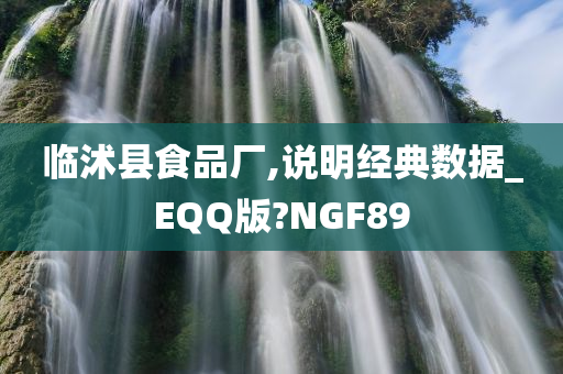 临沭县食品厂,说明经典数据_EQQ版?NGF89