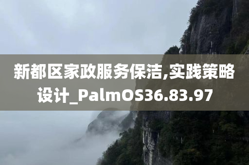 新都区家政服务保洁,实践策略设计_PalmOS36.83.97