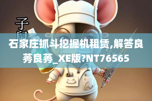 石家庄抓斗挖掘机租赁,解答良莠良莠_XE版?NT76565