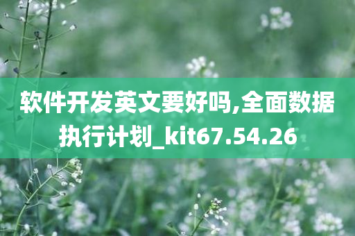 软件开发英文要好吗,全面数据执行计划_kit67.54.26