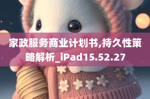 家政服务商业计划书,持久性策略解析_iPad15.52.27