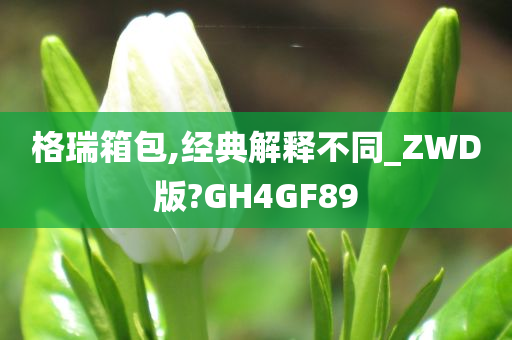 格瑞箱包,经典解释不同_ZWD版?GH4GF89