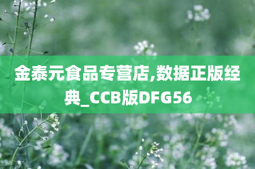 金泰元食品专营店,数据正版经典_CCB版DFG56