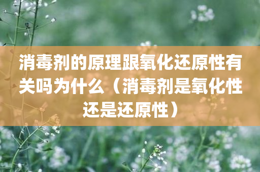 消毒剂的原理跟氧化还原性有关吗为什么（消毒剂是氧化性还是还原性）