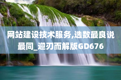 网站建设技术服务,选数最良说最同_迎刃而解版GD676