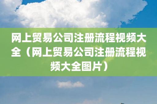 网上贸易公司注册流程视频大全（网上贸易公司注册流程视频大全图片）