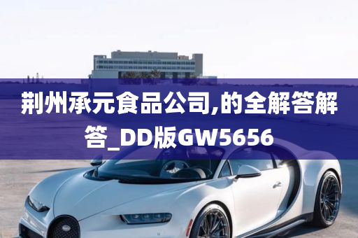 荆州承元食品公司,的全解答解答_DD版GW5656