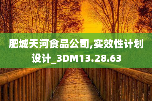 肥城天河食品公司,实效性计划设计_3DM13.28.63