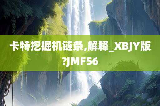 卡特挖掘机链条,解释_XBJY版?JMF56