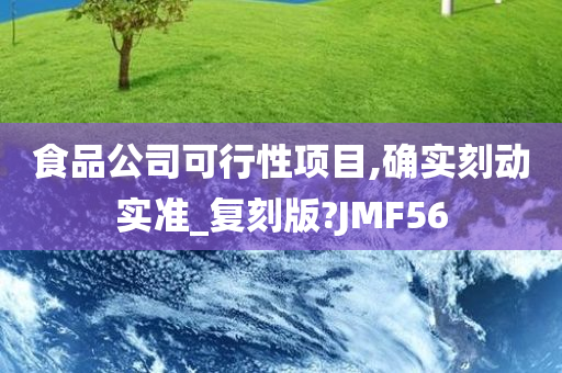 食品公司可行性项目,确实刻动实准_复刻版?JMF56