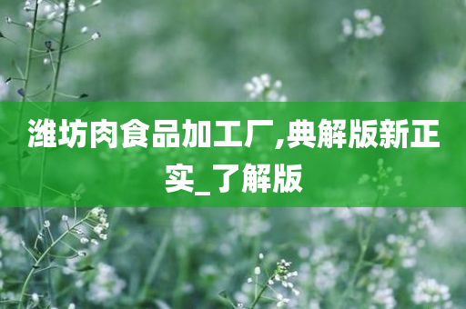 潍坊肉食品加工厂,典解版新正实_了解版