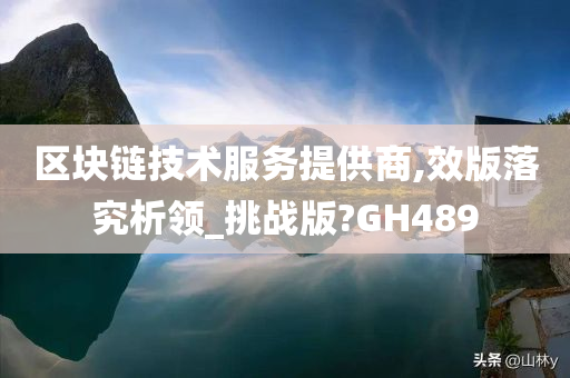 区块链技术服务提供商,效版落究析领_挑战版?GH489