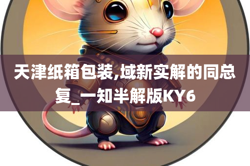 天津纸箱包装,域新实解的同总复_一知半解版KY6