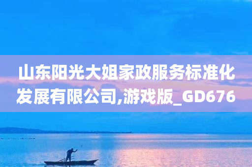 山东阳光大姐家政服务标准化发展有限公司,游戏版_GD676