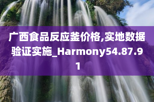 广西食品反应釜价格,实地数据验证实施_Harmony54.87.91