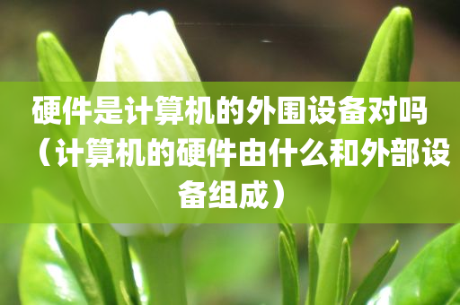 硬件是计算机的外围设备对吗（计算机的硬件由什么和外部设备组成）