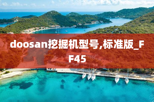 doosan挖掘机型号,标准版_FF45