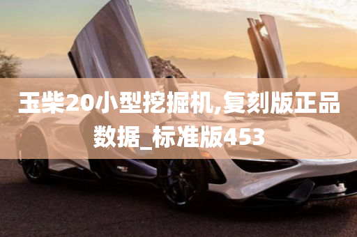 玉柴20小型挖掘机,复刻版正品数据_标准版453