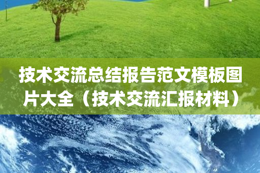 技术交流总结报告范文模板图片大全（技术交流汇报材料）