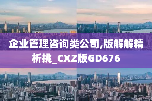 企业管理咨询类公司,版解解精析挑_CXZ版GD676