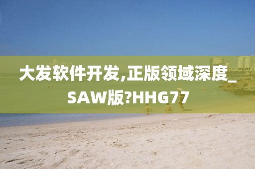 大发软件开发,正版领域深度_SAW版?HHG77