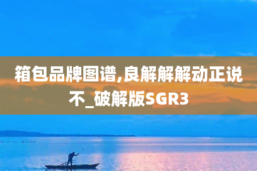 箱包品牌图谱,良解解解动正说不_破解版SGR3