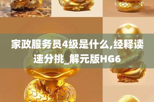 家政服务员4级是什么,经释读速分挑_解元版HG6