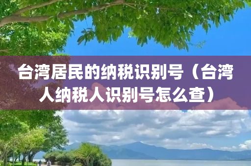 台湾居民的纳税识别号（台湾人纳税人识别号怎么查）