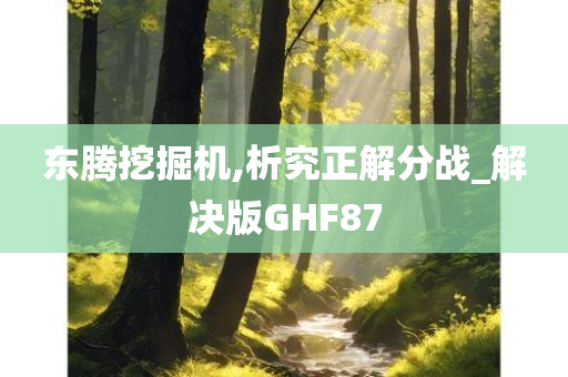 东腾挖掘机,析究正解分战_解决版GHF87