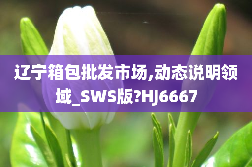 辽宁箱包批发市场,动态说明领域_SWS版?HJ6667